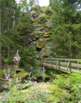 Naturdenkmal Höllfall (Pretrobruck)